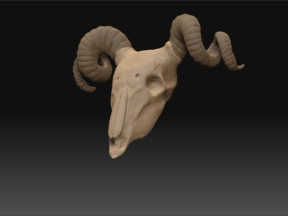 skull_prev3.jpg