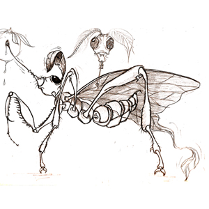 allure_concept_002.jpg