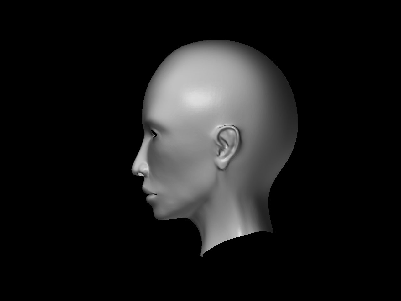 head_side.jpg