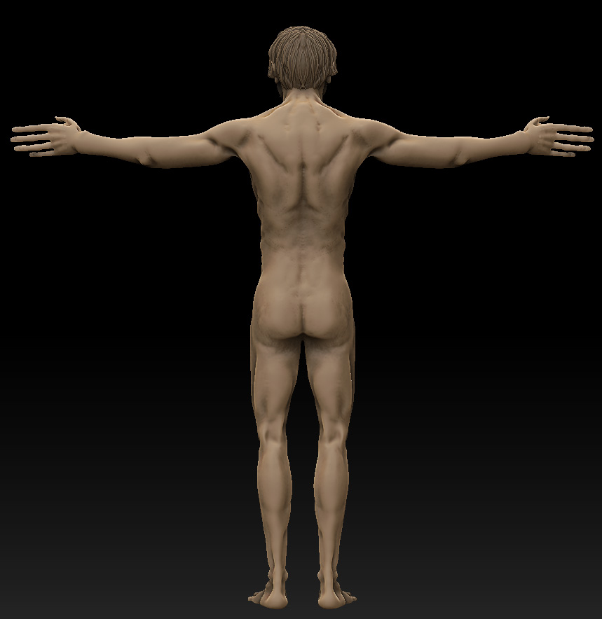 back.jpg