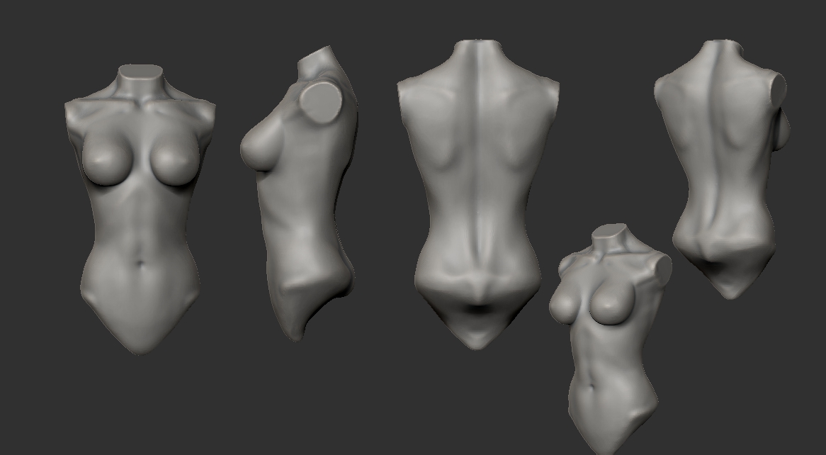 FemaleTorso.jpg