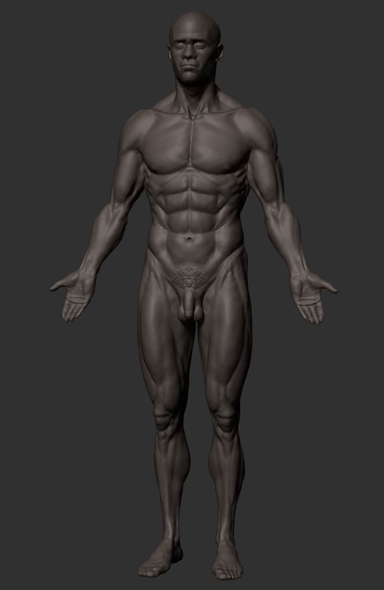 ZB_Anatomy_Body_blackmale15r.JPG