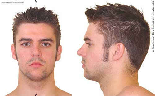 head2.jpg