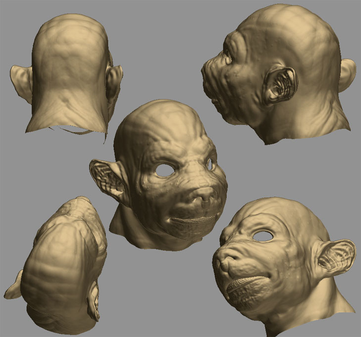 Human_Rat_Comp_01.jpg