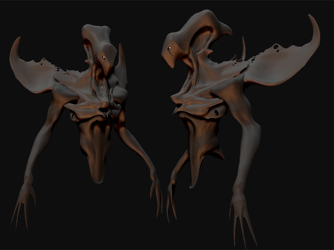 bird_shadow_002.jpg
