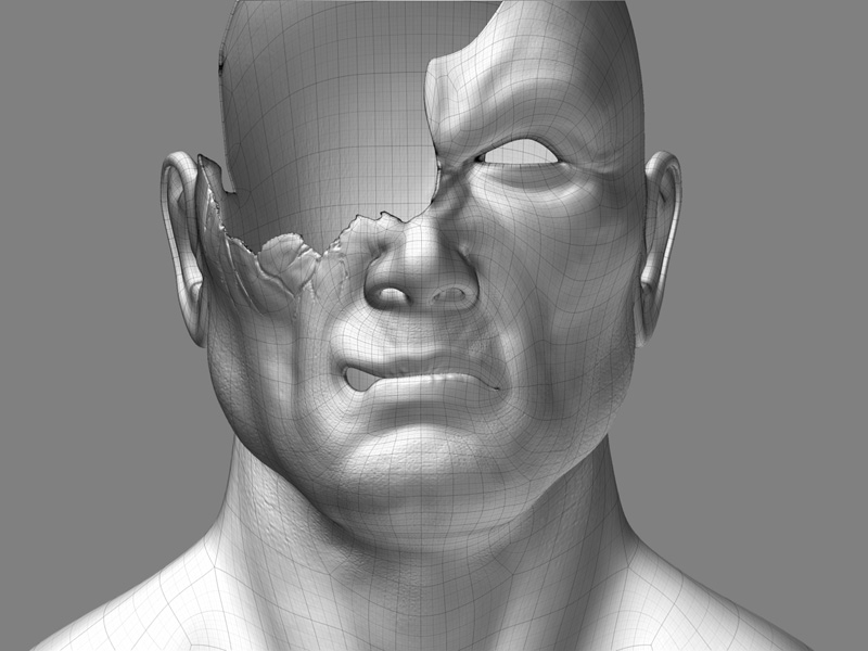ZBrush 1_wire.jpg