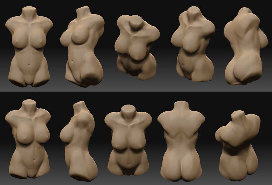 female_torso.jpg
