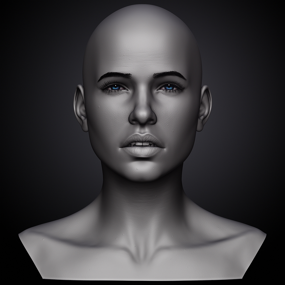 WIP_05_1000.jpg