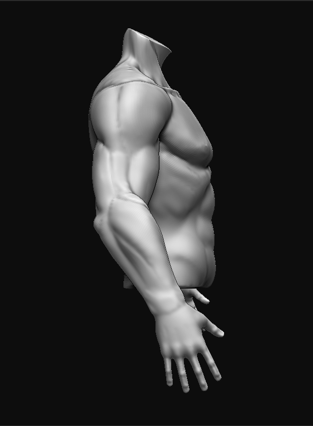 Torso_Study_Profile.jpg