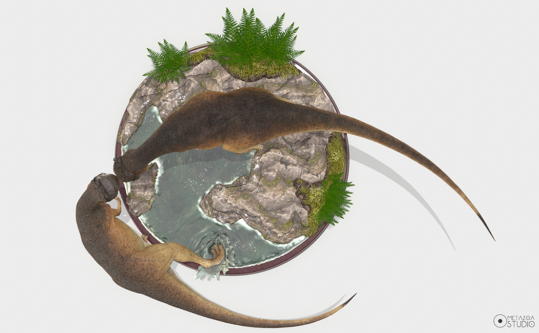 Stegoceras_color_vista%206