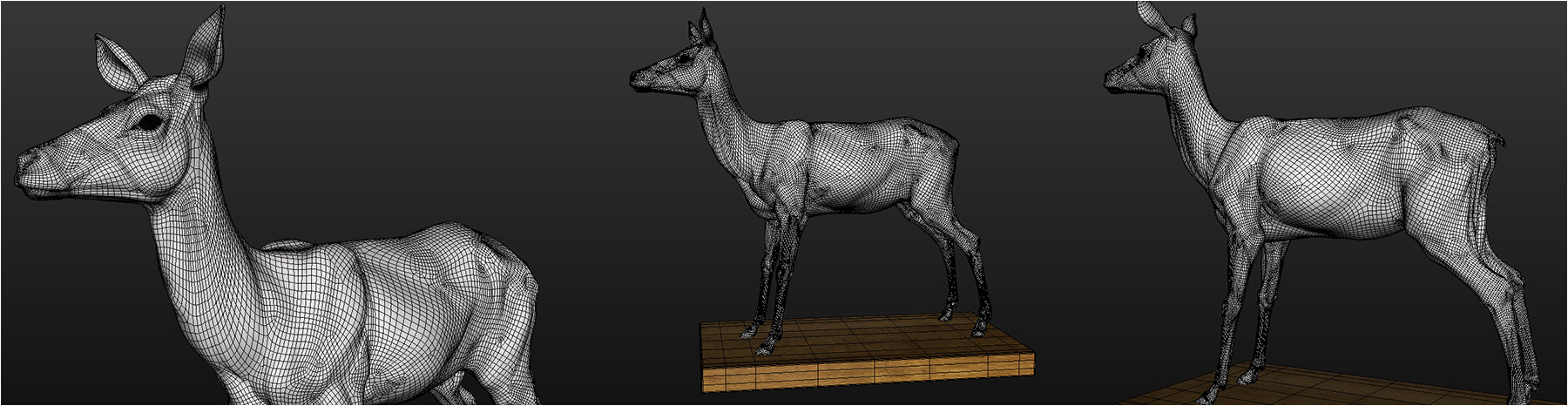 deerAnatomy_010b.jpg