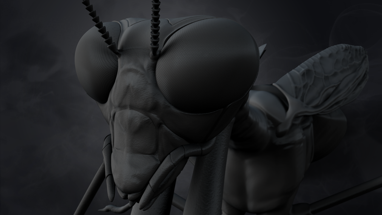 Mantidfly_Front-face_720.png
