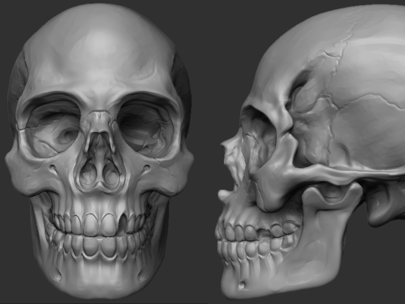 final_skull_01.jpg