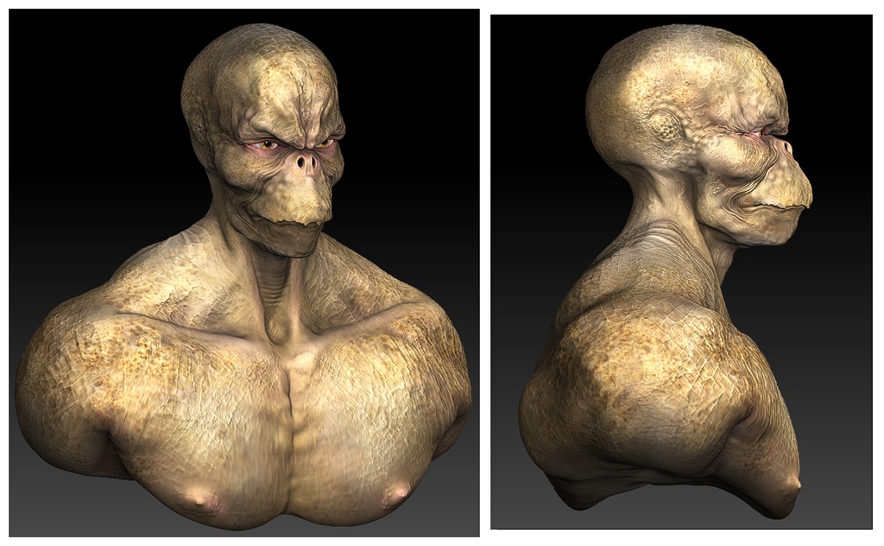 Turtle_Man_Views.jpg