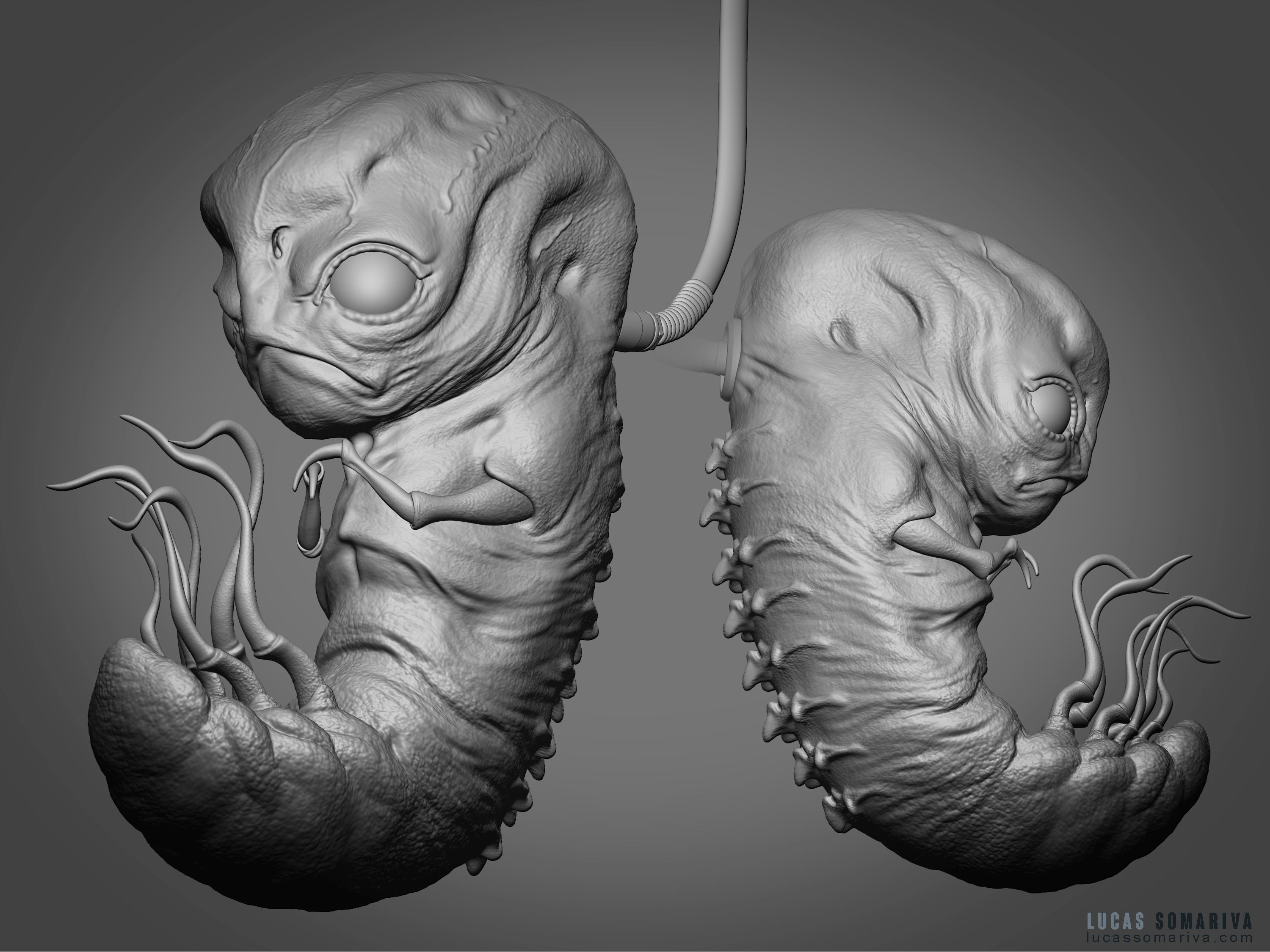 Embryo_02b_.jpg