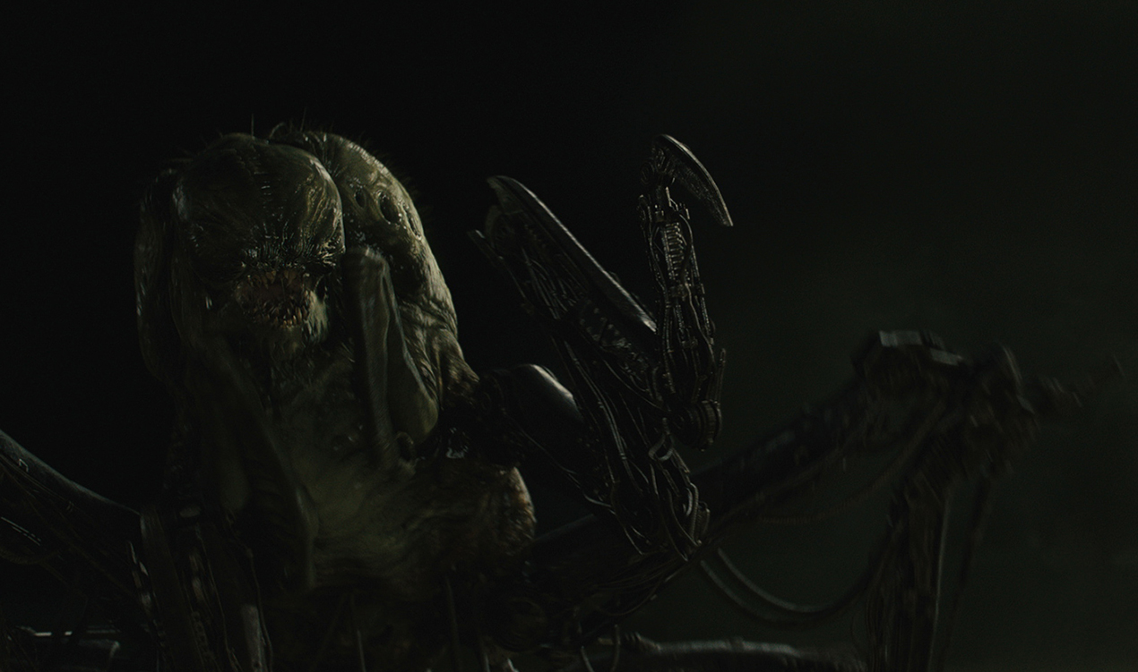 griever_0031.jpg