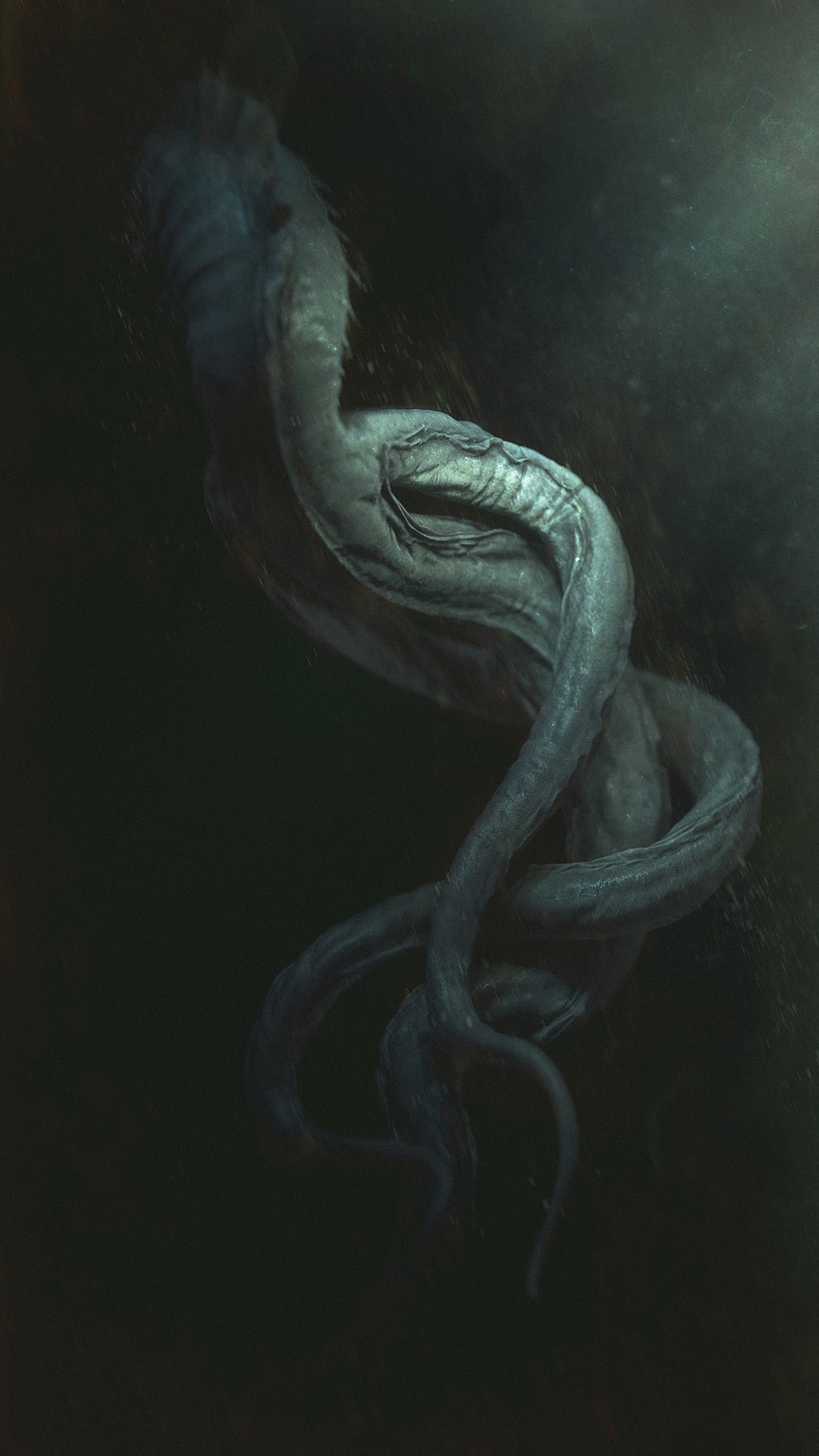 fishwitch_beautyshot_03