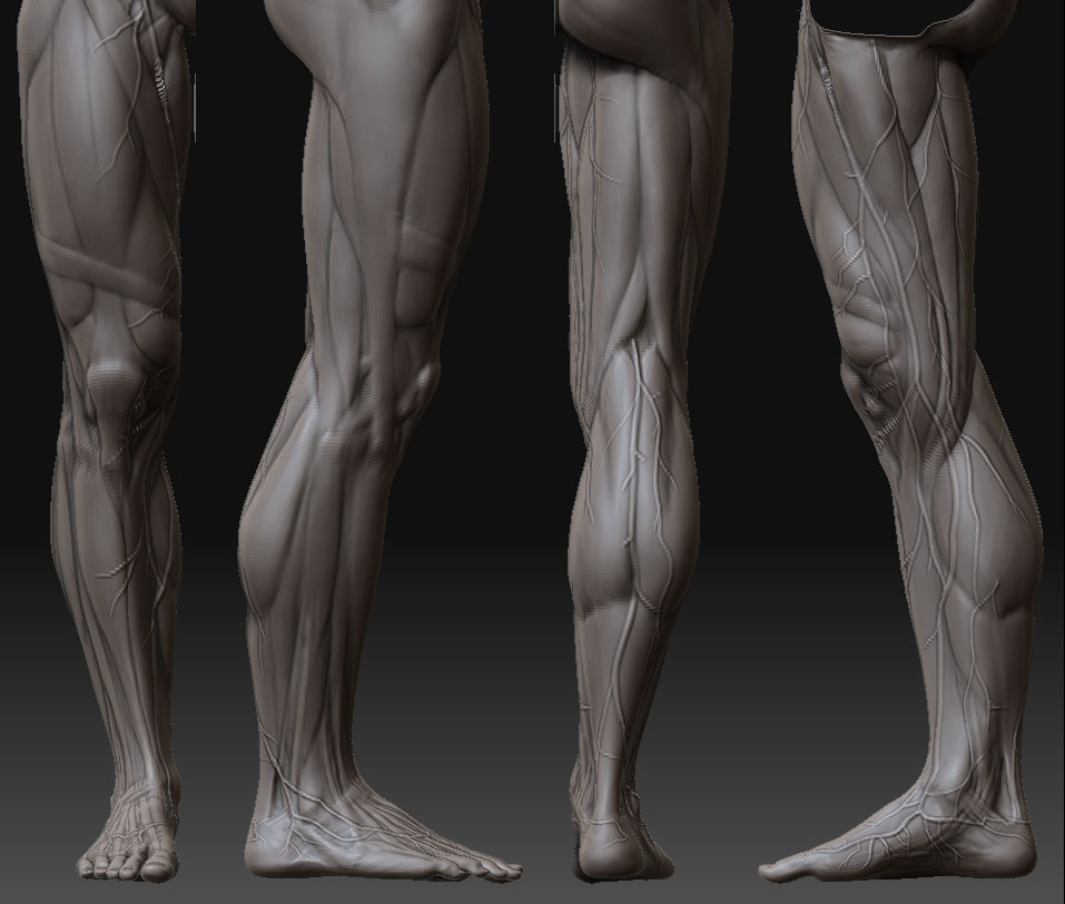 LegVeins-1.jpg