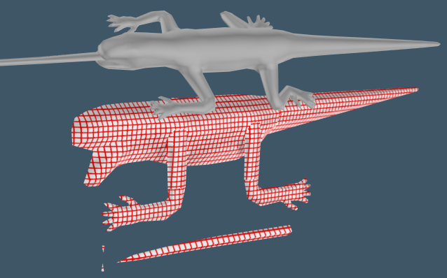 lizard.jpg
