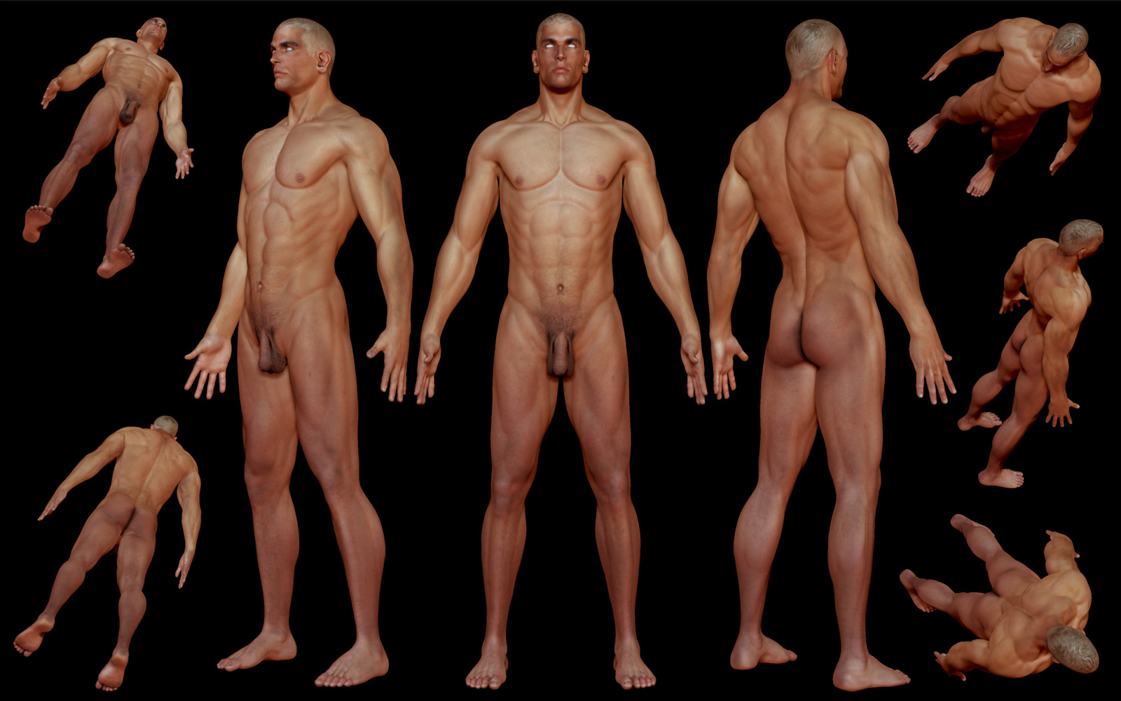 maleanatomystudy01.jpg