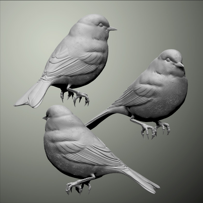BluebirdModel.jpg
