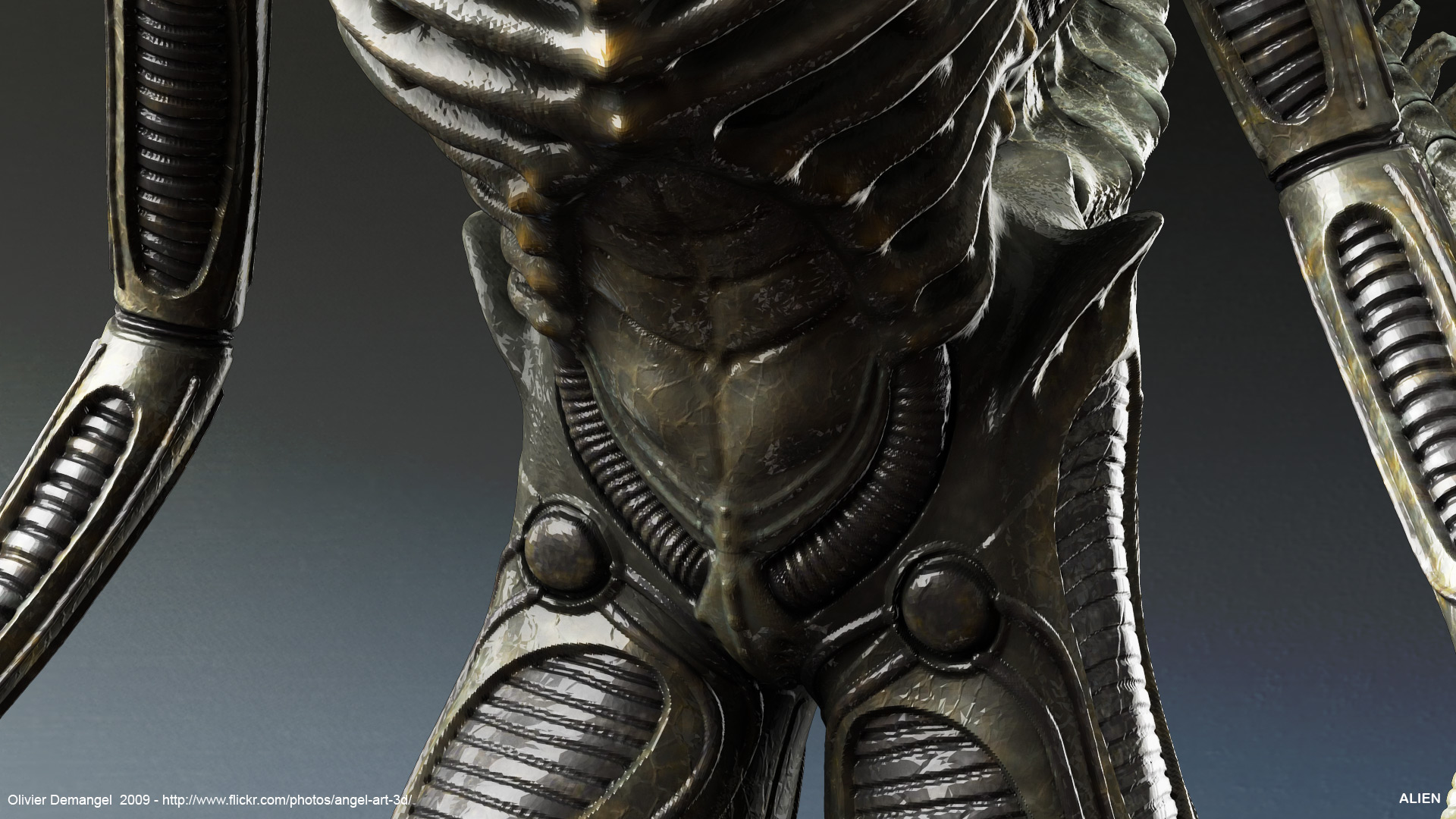 Alien_buste_deci10_l07.jpg