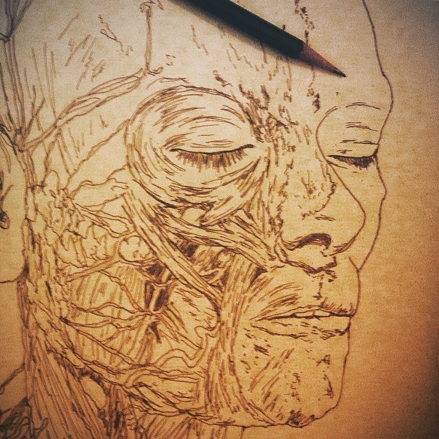 anatomy_notebook_Sabella_6.jpg