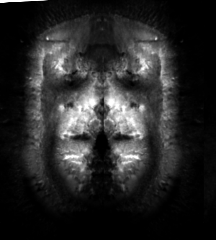 facemars.jpg