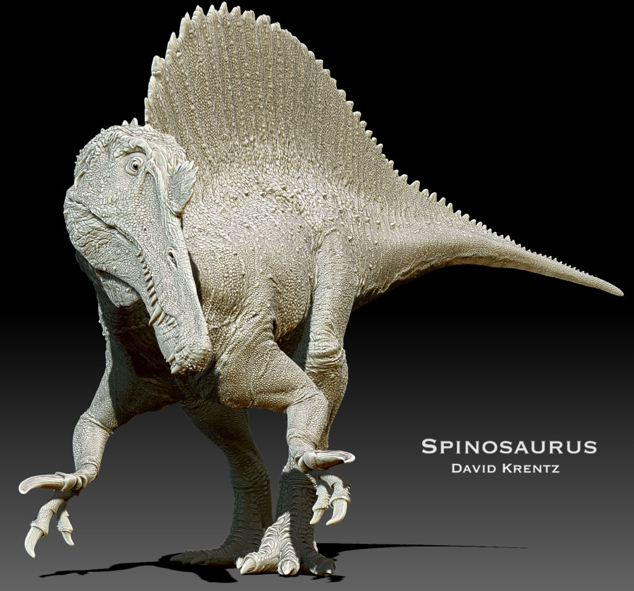 Spino_2.jpg