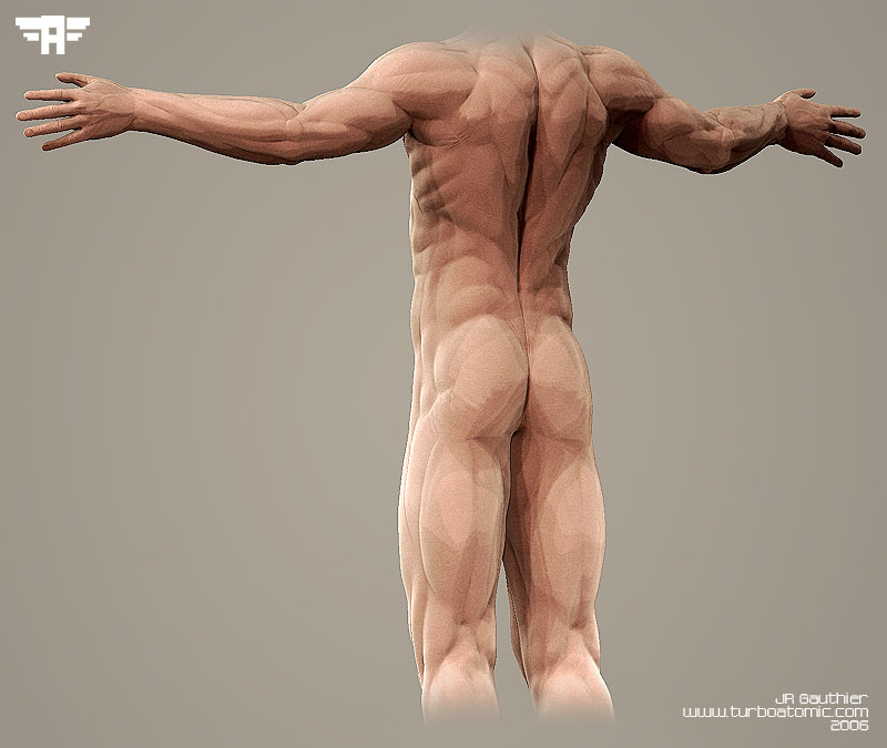 lower_bodyv4_back.jpg