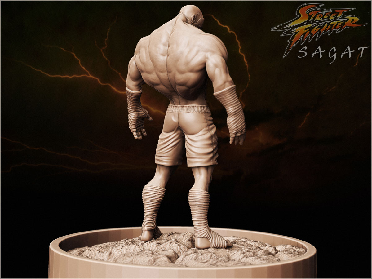 Sagat High Res 3.jpg