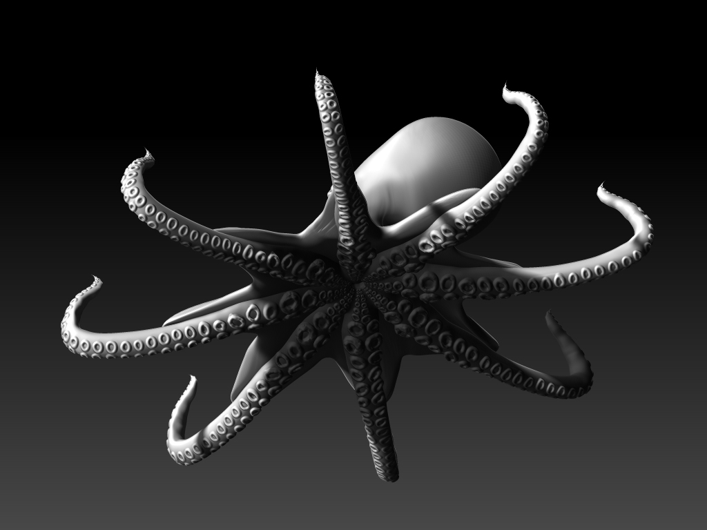 Octopus 2 BW.jpg