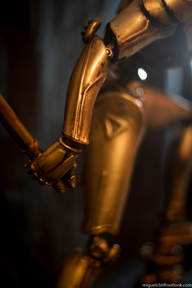 Riot_Police_Robot-Photo_14