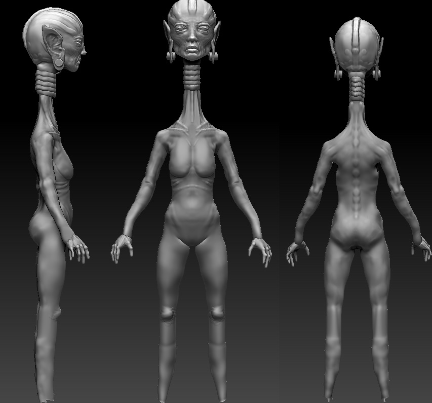 WIP2.jpg