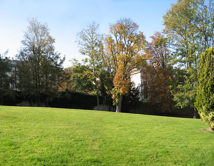_paysage.jpg
