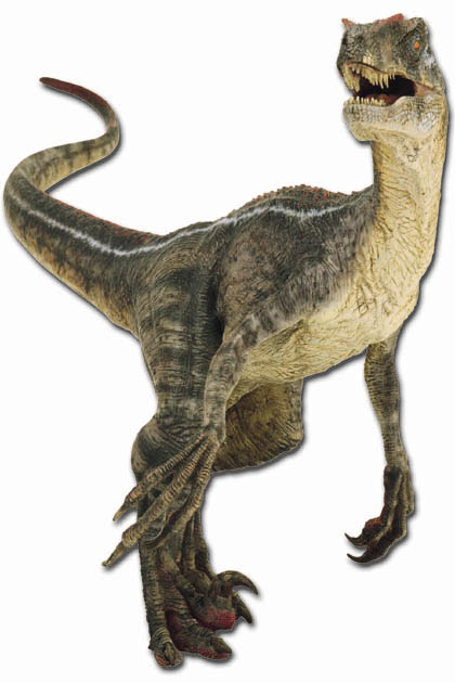 jp3raptor.jpg