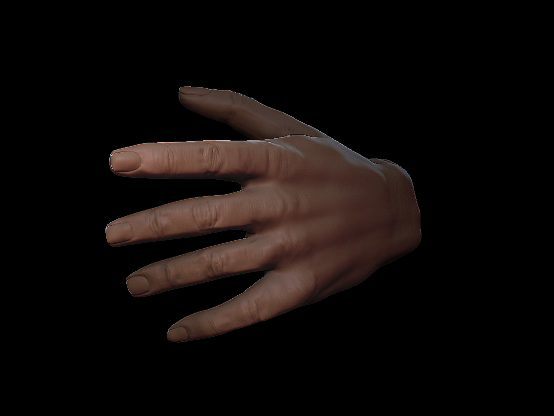 HandStudy4.jpg