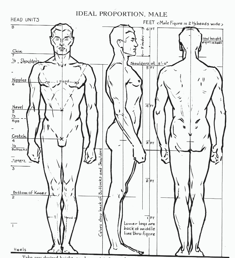 loomis_FIGURE_draw.jpg