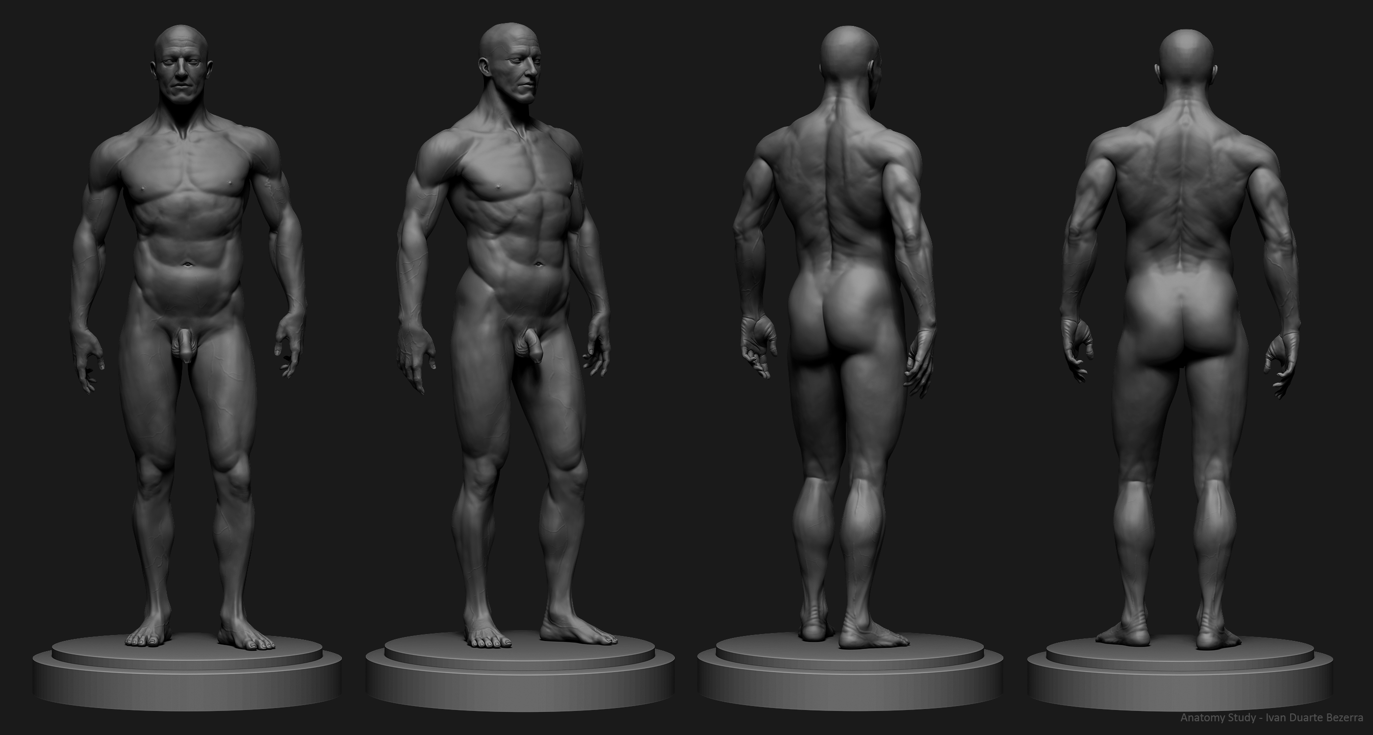 3 Full Body Anatomy Study.jpg