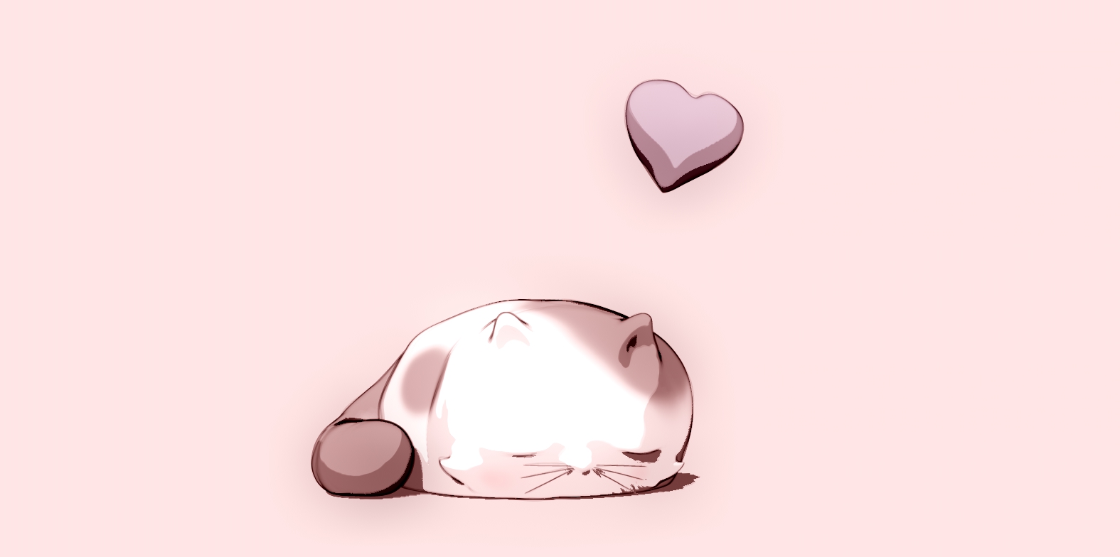 CuteCat.jpg