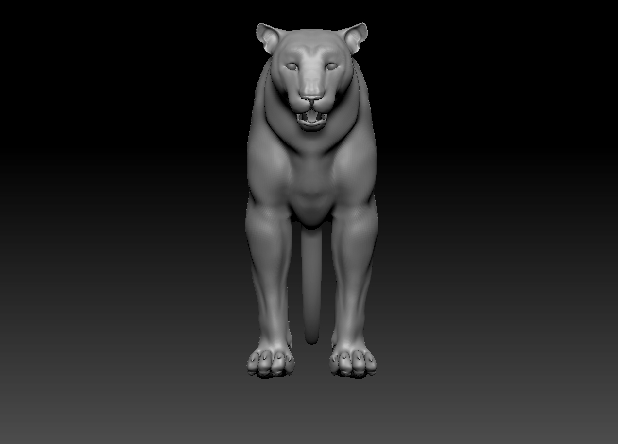 tiger_front.jpg