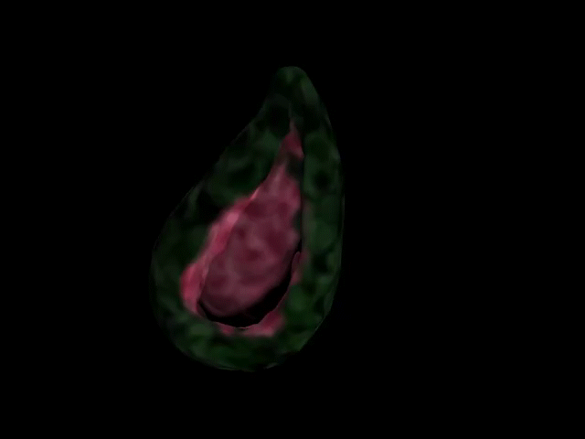 Stomach2G