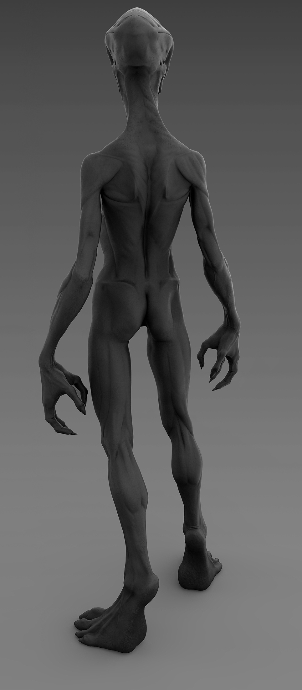 Full size pose pack.jpg