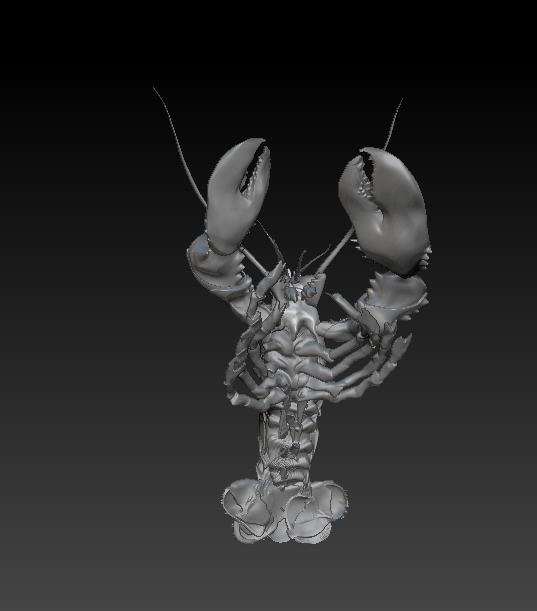 Lobster underside.jpg