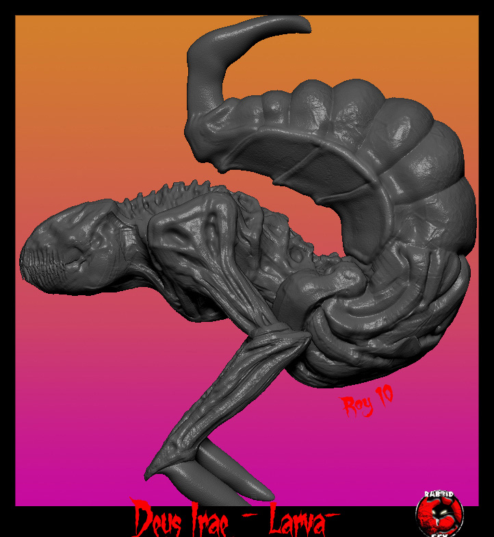Larva_vistas_04.jpg