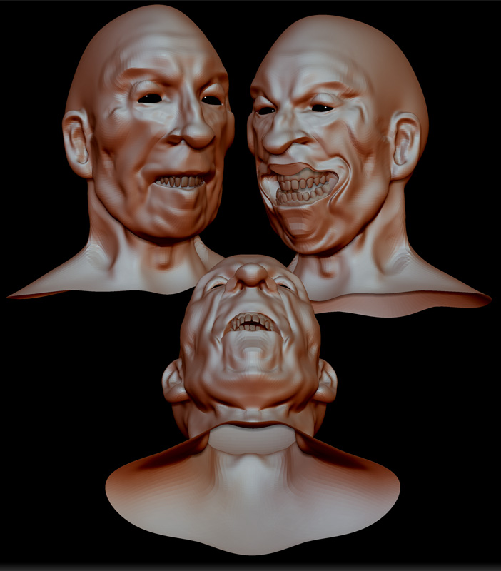 AGED HEAD STUDY 6.jpg