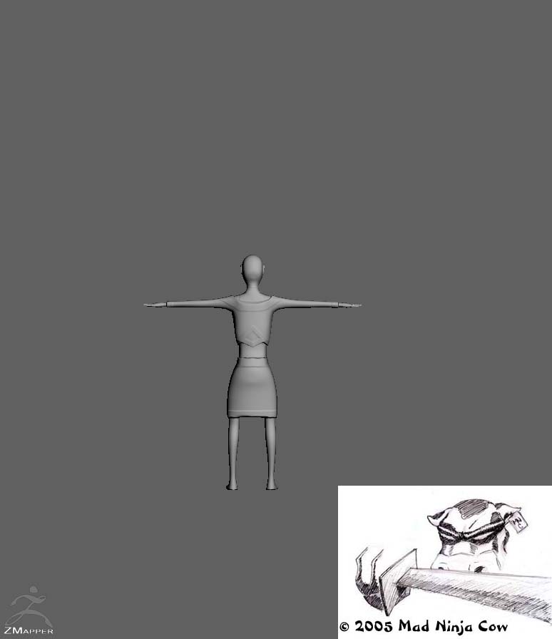 ZMapperSnapshot4.jpg