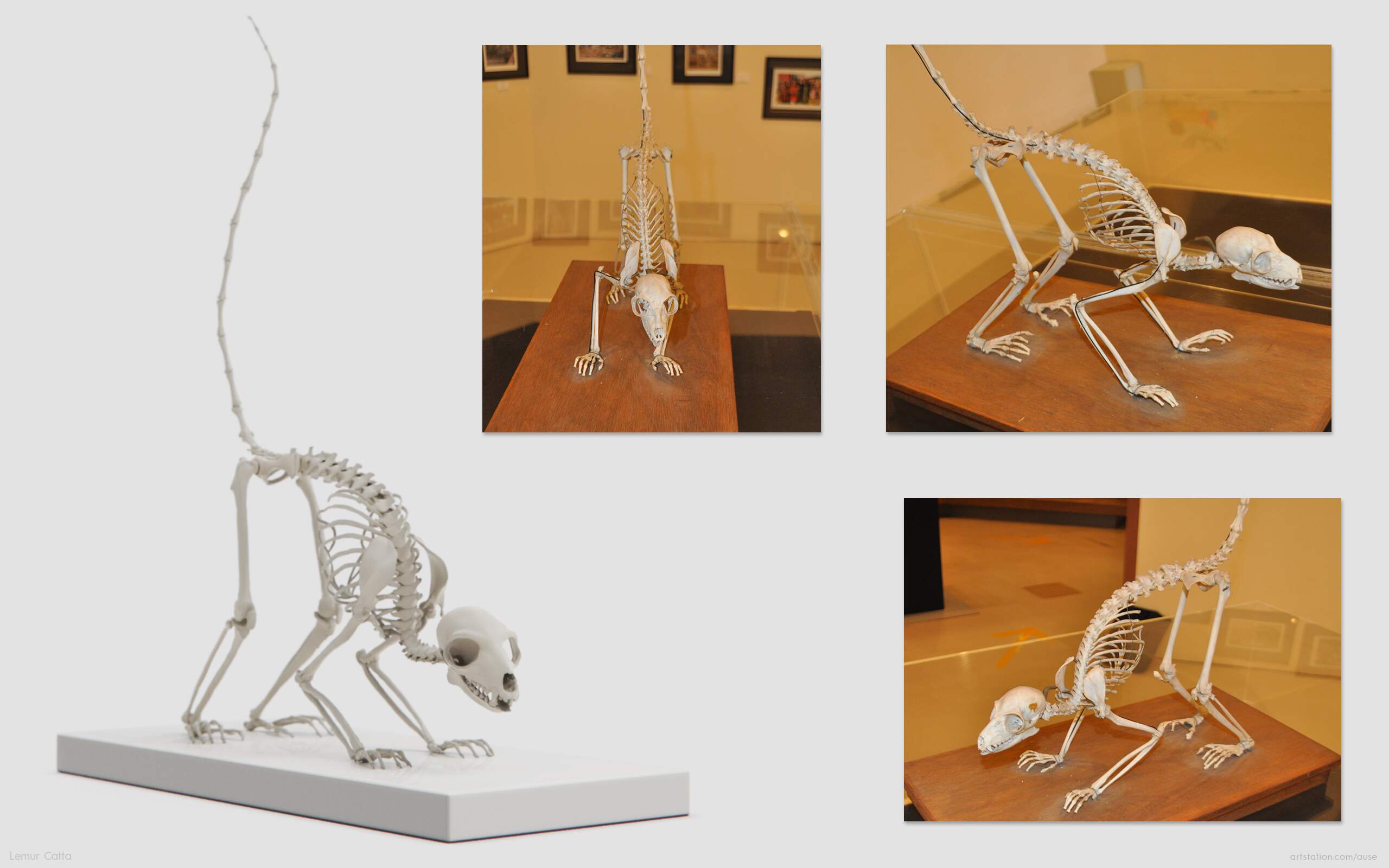 lemur-prevs2