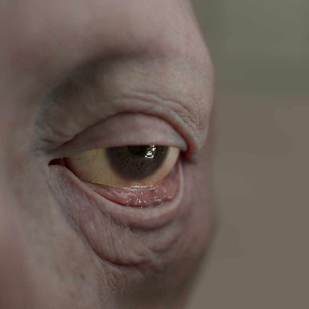 sss_Ds2_Albedo3_Spec1_hdri2_ScleraRamp_Microbump_Tearline_3Textured_3.2