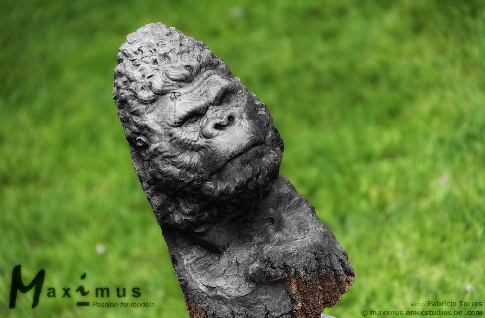 c1_Fabricio Torres gorilla_2_06.jpg